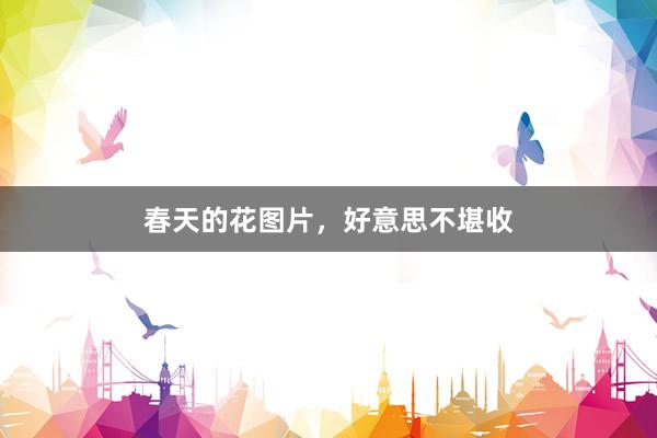 春天的花图片，好意思不堪收